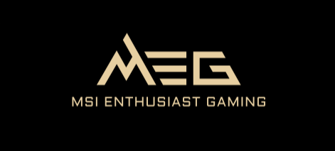 MSI MEG